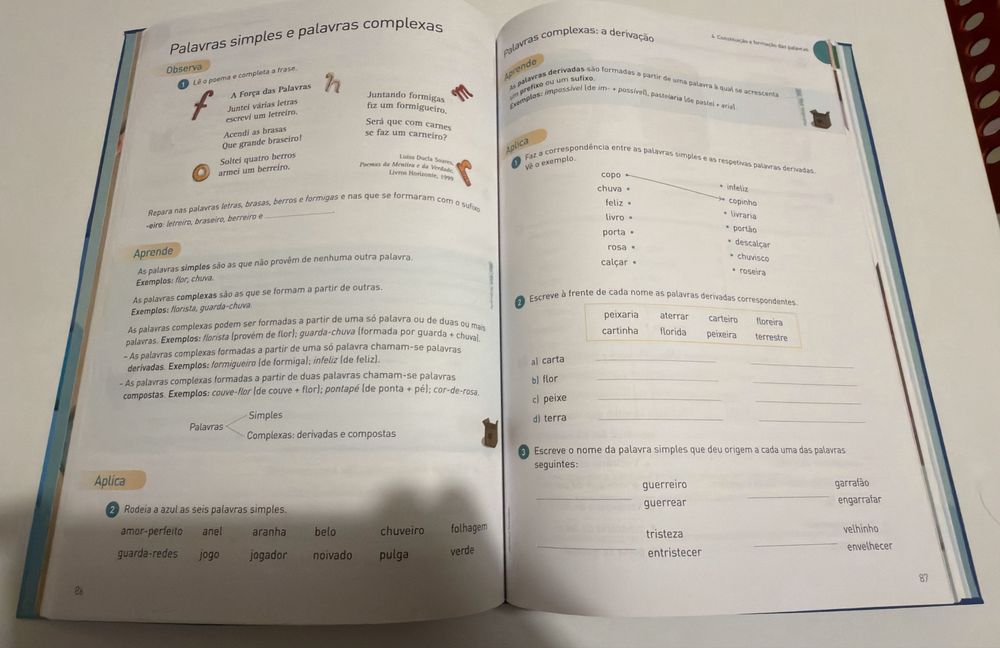 Gramática Português 1º ciclo Porto Editora
