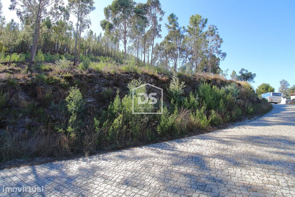 Rural Land for Sale in Sobreira, Paredes