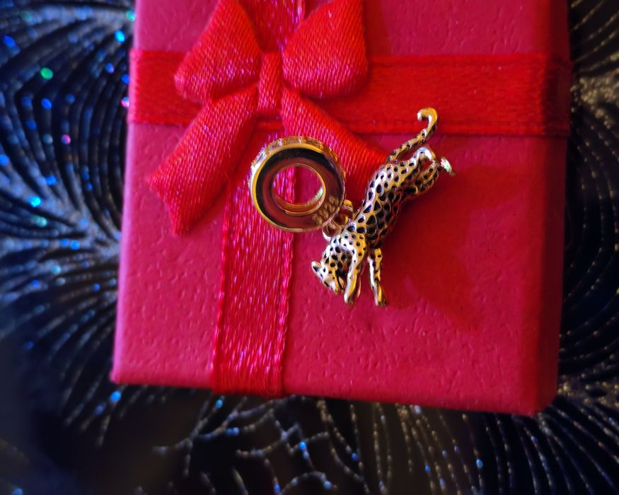 Śliczne charmsy do Pandora próba 925