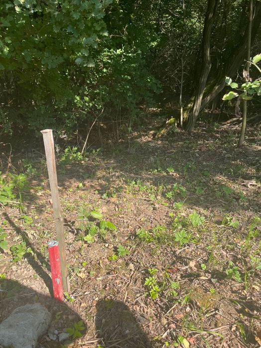 Działka budowlano rolna uzbrojona 61ar Trzyciąż piękne widoki na las - Widok 4