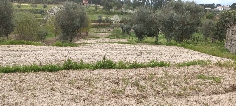 Terreno para venda