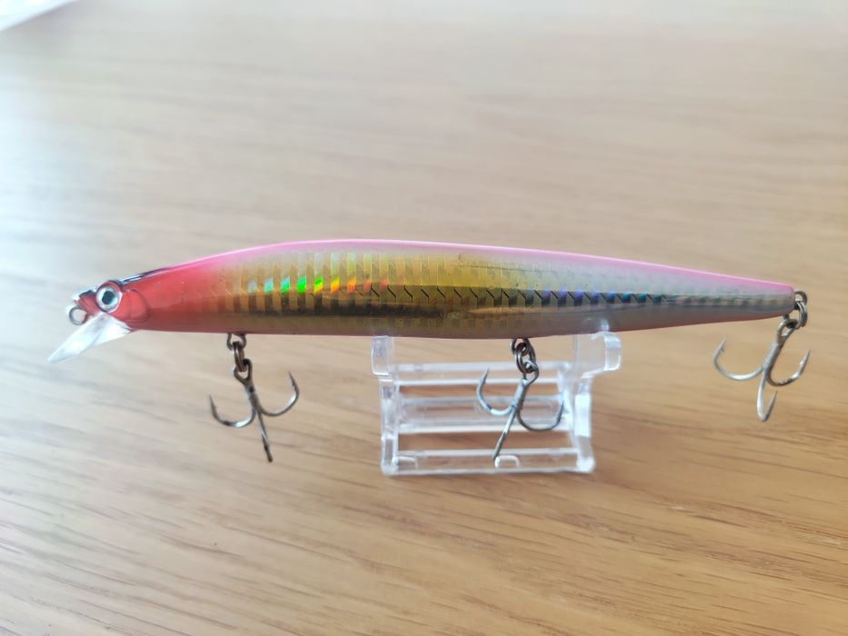 Amostras para pesca ao robalo