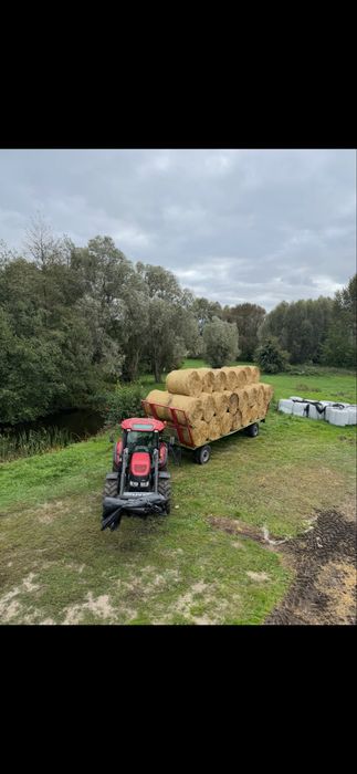 Sprzedam bele słomy