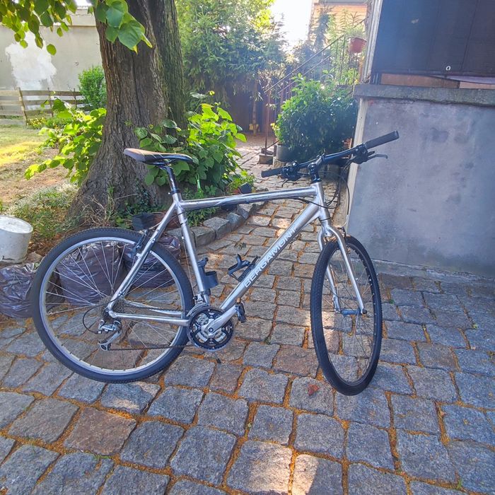 Rower Bergamont Beluga Sport