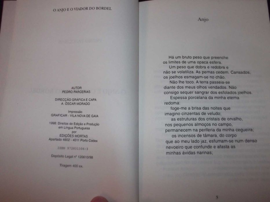 Livro O anjo e o viador do bordel de Pedro Parcerias