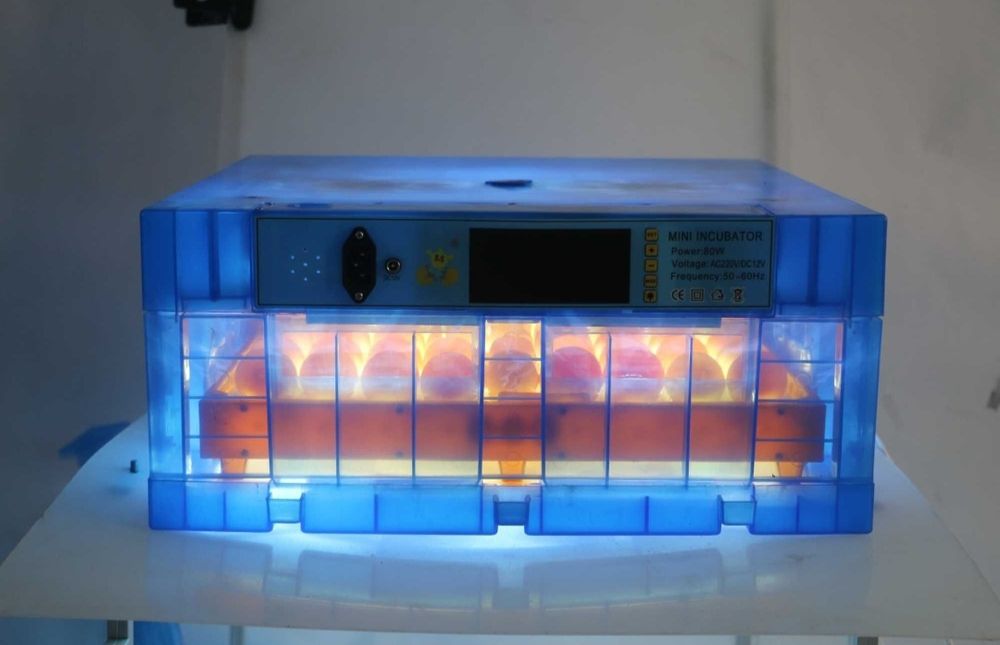 Chocadeira automática