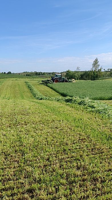 Mieszanka traw na słabe, nasiona paszowe, wysyłka gratis!