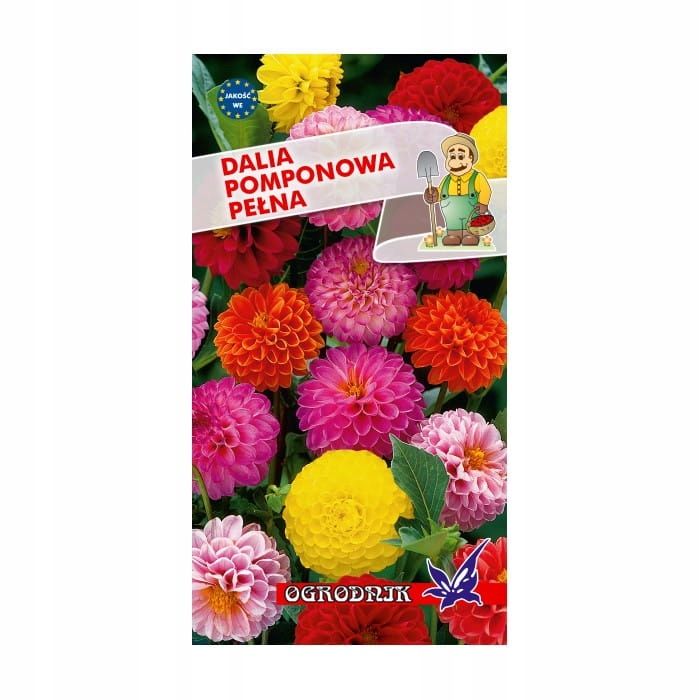 Dalia pomponowa mix 0,5g / O /
