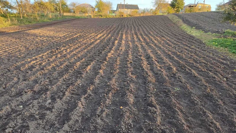 Земельна ділянка ОЖБ ( 25 сот ), з знесеним будинком с. Неслухів