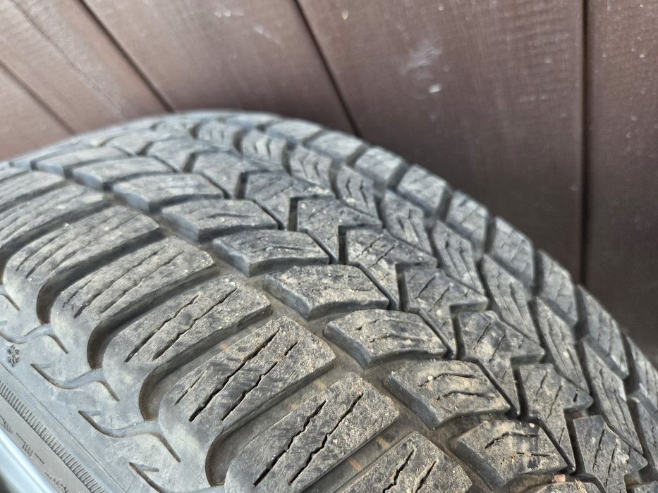 Opony zimowe Dębica frigo hp2  205/55r16