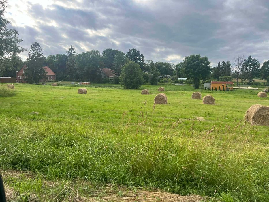 MUŁAWKI działka budowlana 15 arów - Widok 5