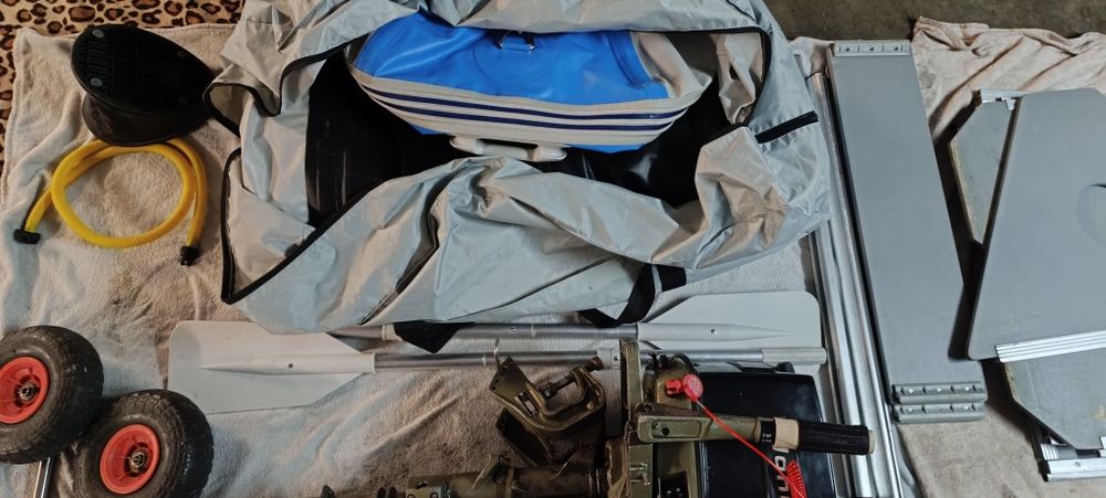 Sprzedam ponton Pro Marine z silnikiem Johnson 25 km