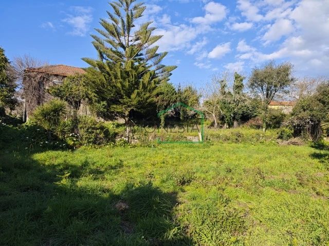 Quintinha em Riba de Âncora, com casa em pedra para recuperar .
