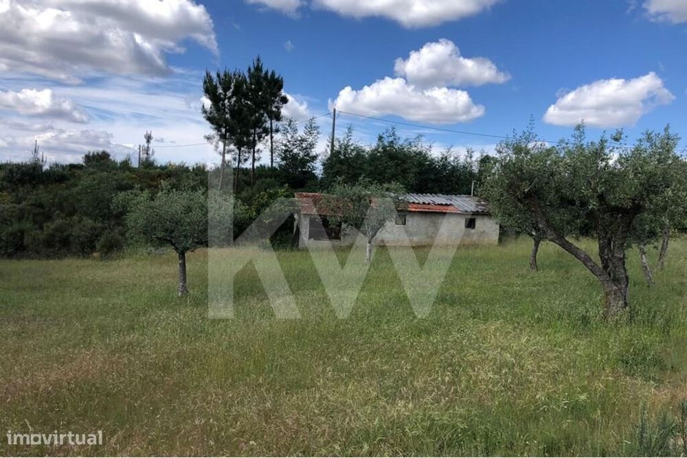 Terreno agrícola com Casa de arrumos para reconstrução | Bom acesso