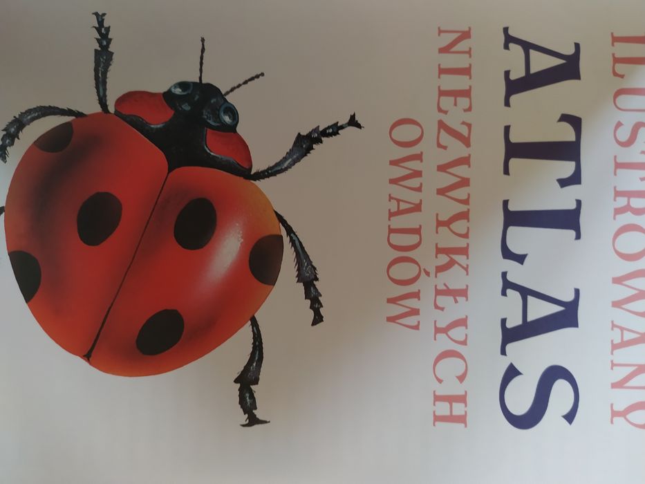 Atlas niezwykłych owadów.