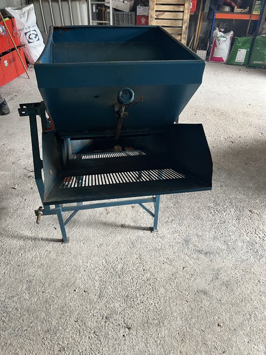 Erguedeira Azeitona MOTA