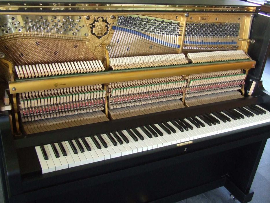 Pianino Bluthner po renowacji, czarne, Piano Lovers