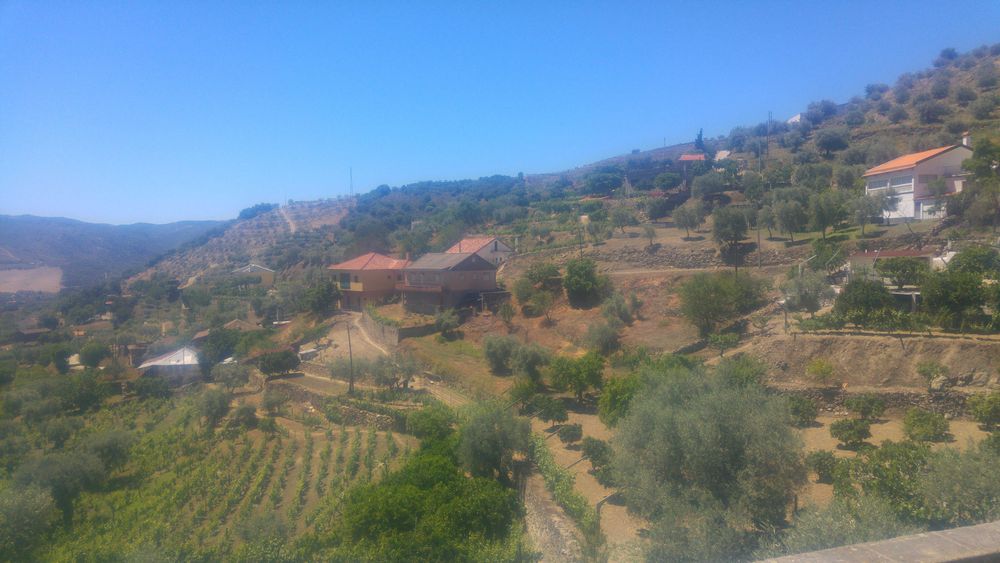 vendo casa com adega  em coleja