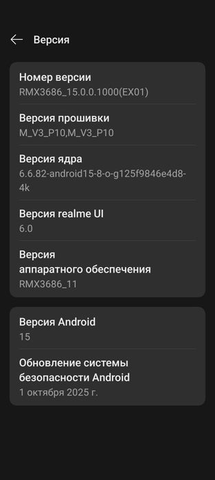 Realme 10 Pro Plus 5G 12+12/256 бомба