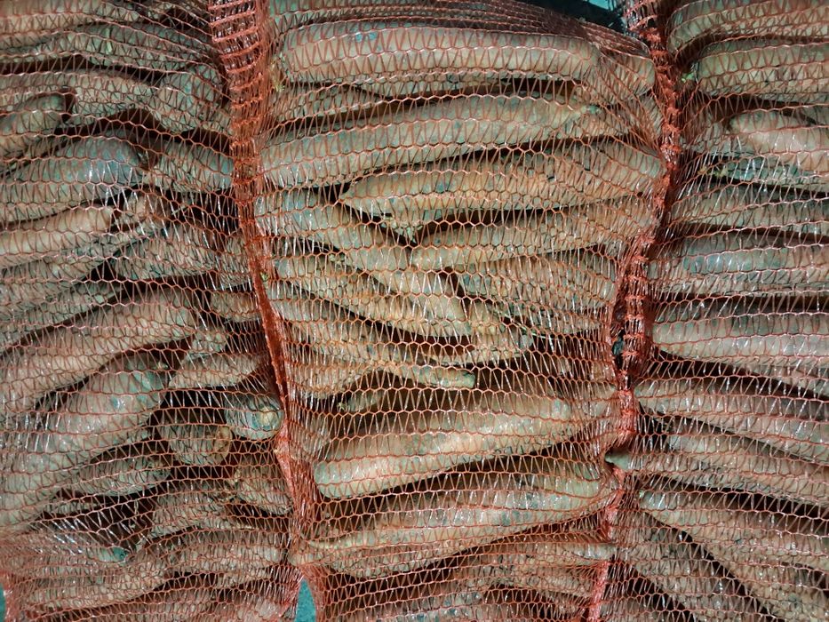 Marchew Jadalną i inna