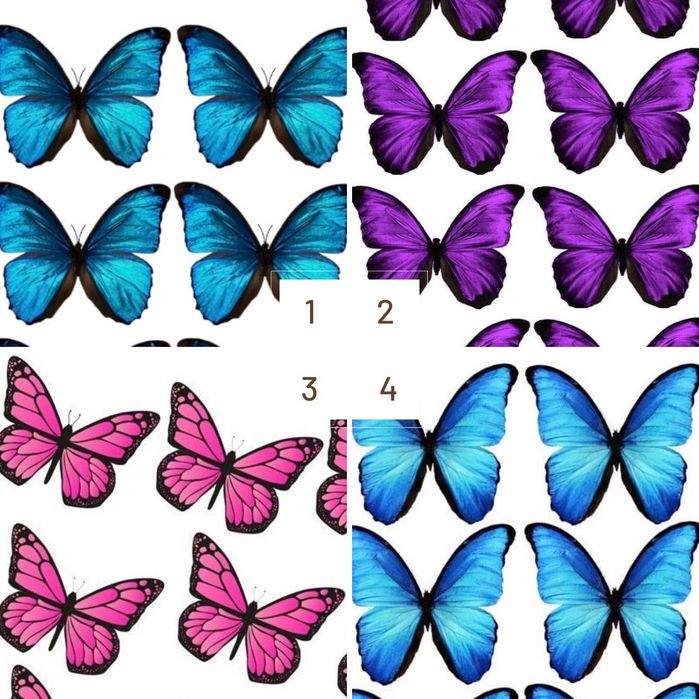 Букет з метеликами, сердечками, мішками, рафаелло 35 видів метеликів