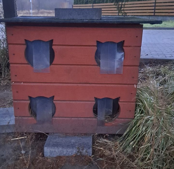 Buda dla kotów-ocieplana.