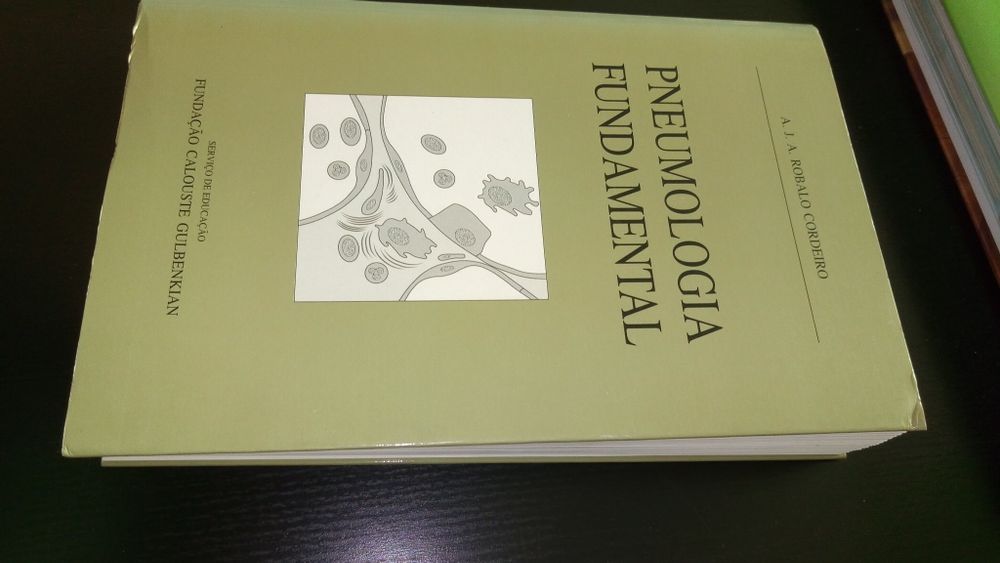 Lote livros variados
