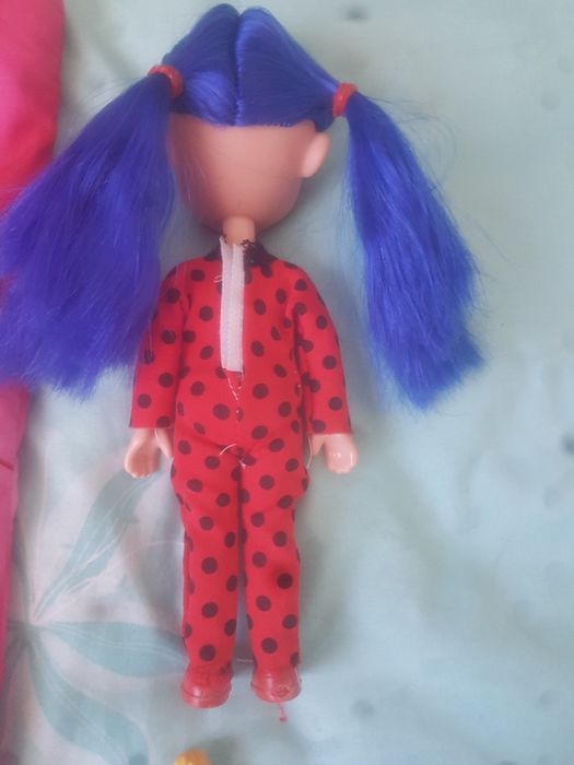 Biedronka i czarny kot zesta