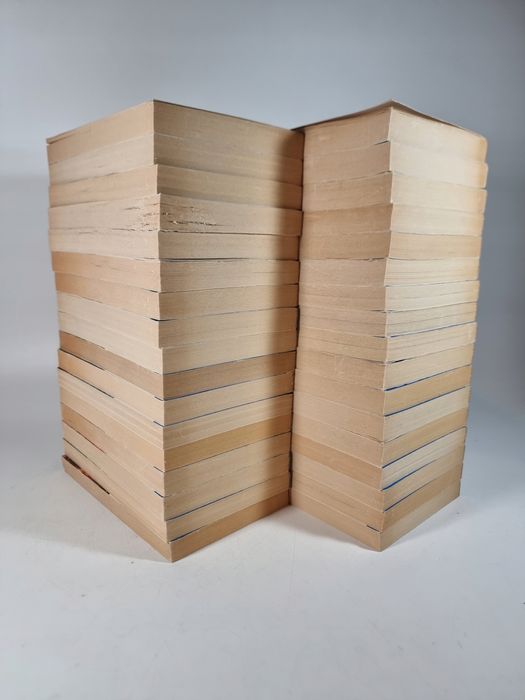 Saga o Ludziach Lodu 1-35 / bez tomu 25 / Margit Sandemo