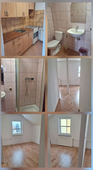 Mieszkania do wynajęcia