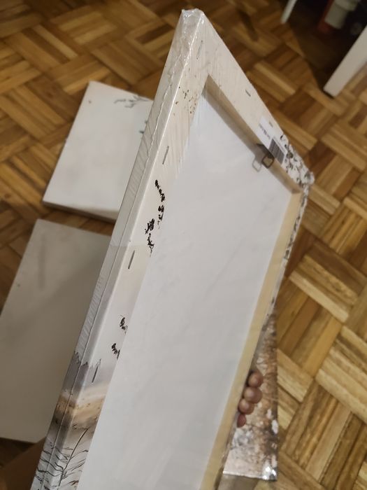 Conjunto de Quadros em Tela Natureza 30x40