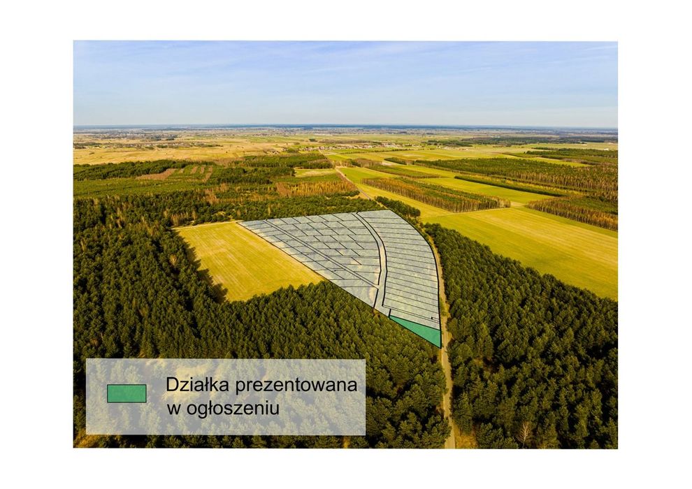 Niepowtarzalna oferta Premium - sprawdź!