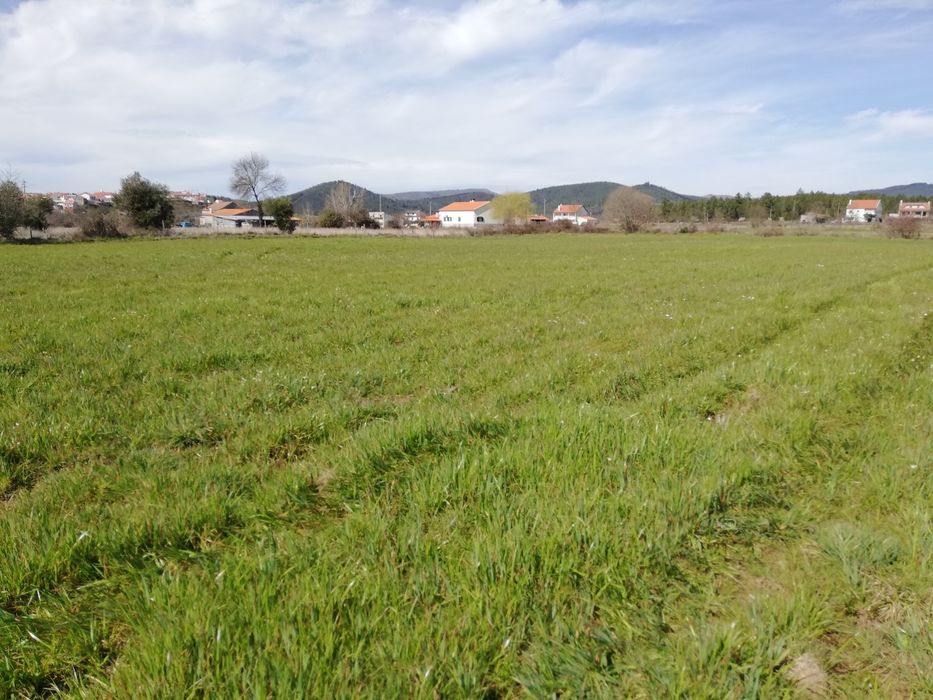 Quinta em Meimoa 9 ha