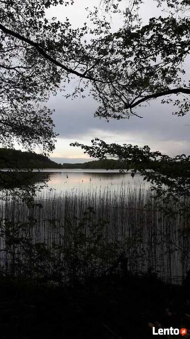 Leśniczówka z dala od hałasu