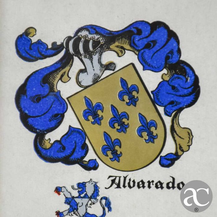 Litografia heráldica emoldurada em madeira dourada e vidro nº3