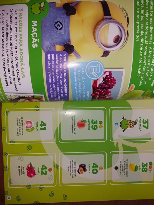 Caderneta Vazia Nova " Frumania " Minimos / Minions