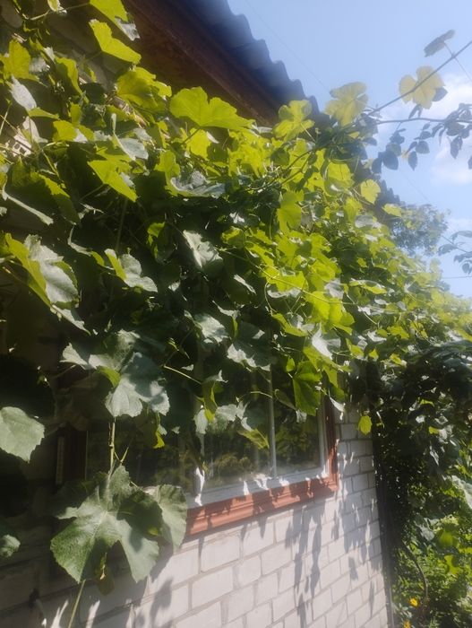 Продаж частини будинку в м.Сміла