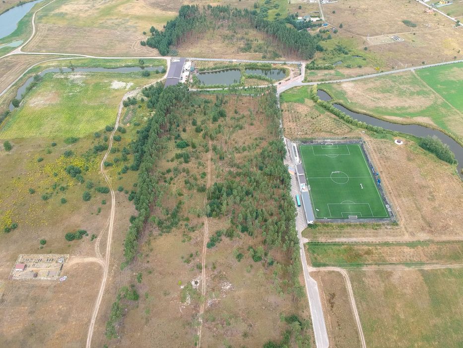 Земельна Ділянка в сосновому лісі 1.8га під забудову 500у, е, сотка