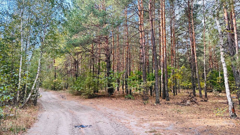 Земля серед лісу для прекрасного життя! 20хв до Києва! 4100$