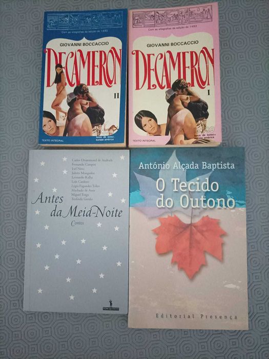 Lote de livros (romances)