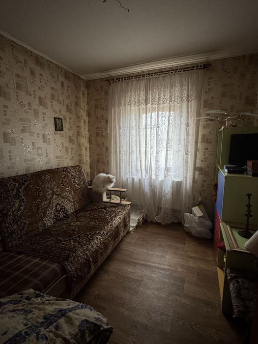 Продам дом в с. Орловщина