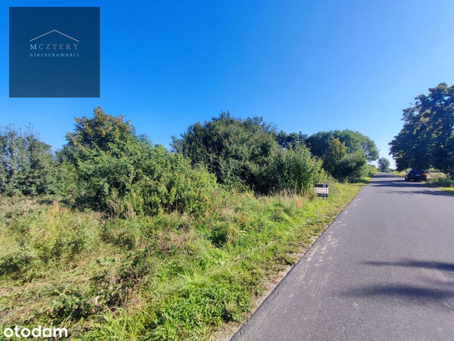 Sprzedam dużą działkę pod siedlisko lub dom/3998 m² - Więcej