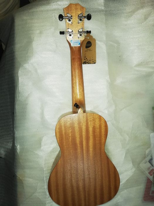 Ukulele concerto Sound