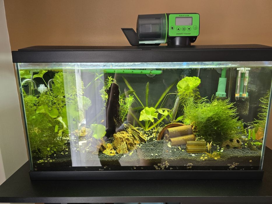 Conjunto de aquario mais movel