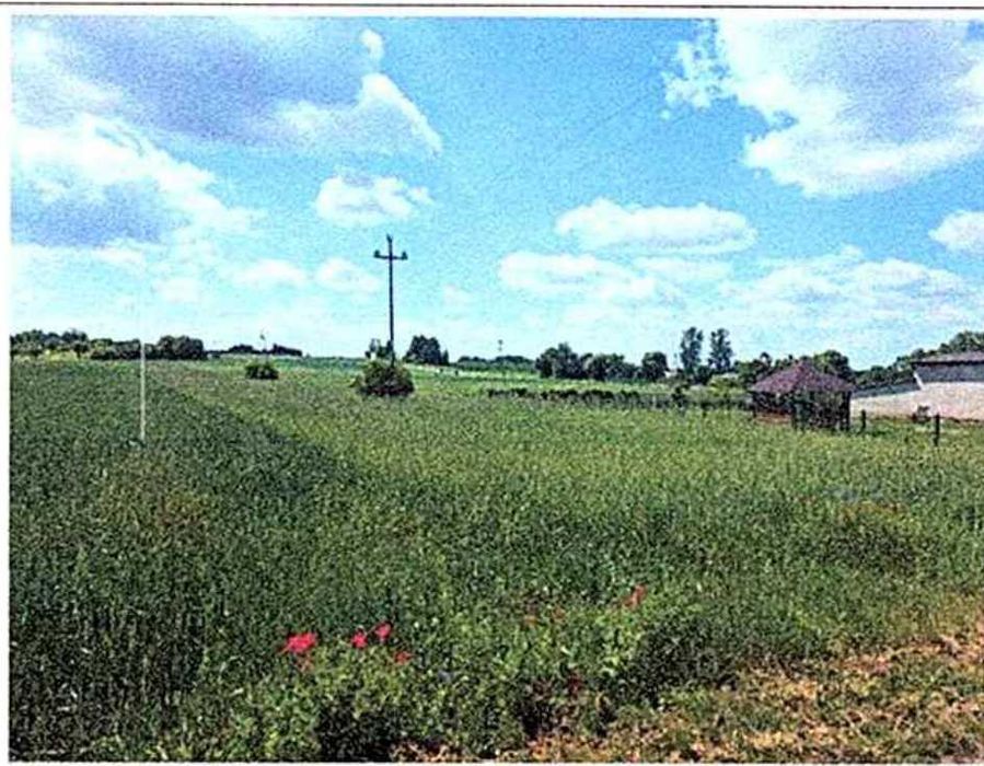 Syndyk sprzeda w drodze przetargu 0,83 ha gruntu rolnego, Skarżyn-Kolonia, gm. Malanów - Więcej