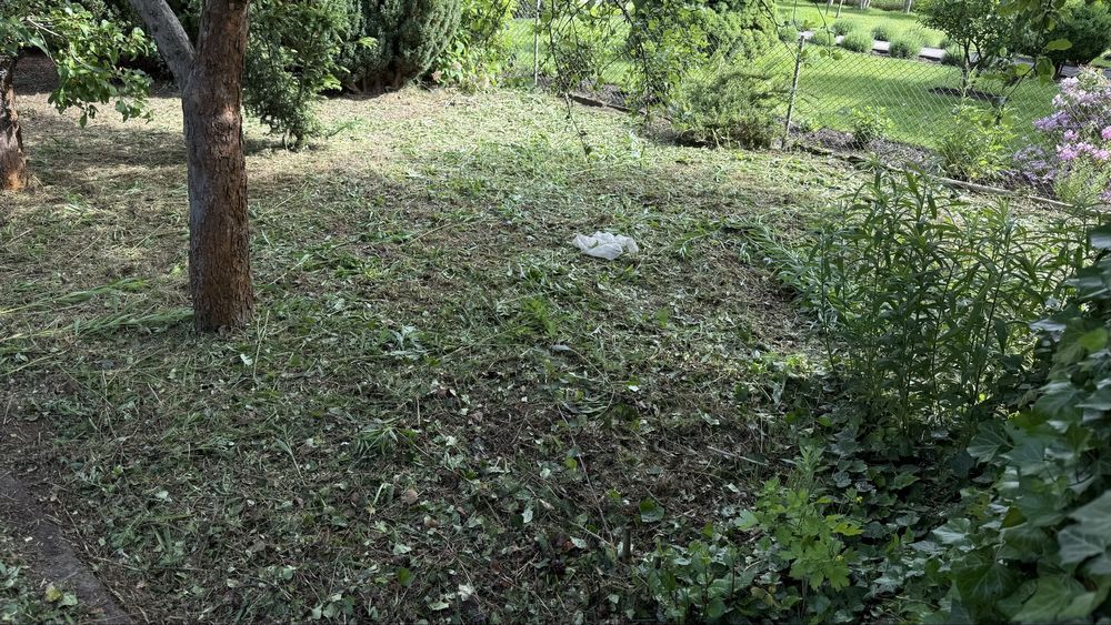 Działka ROD Camping Poznań Złotowska