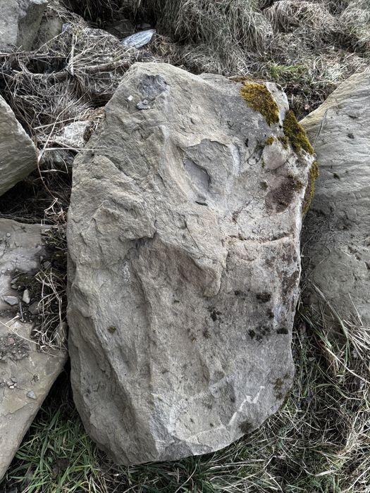 Продам карпатський камінь (піщаник, валуни)