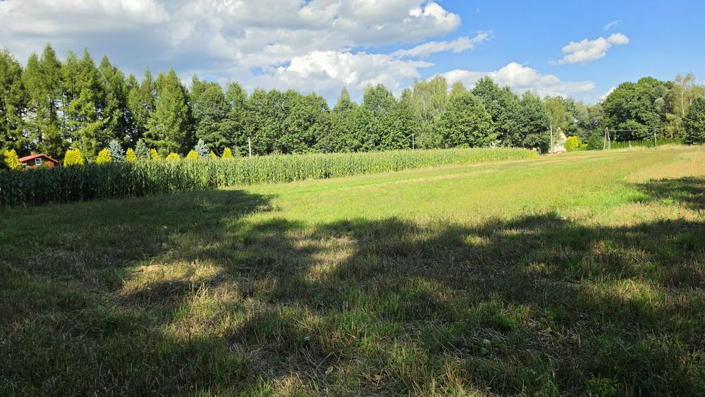 Wyjątkowa działka 38 arów – 10 arów budowlane, las, rzeczka, media - Widok 2