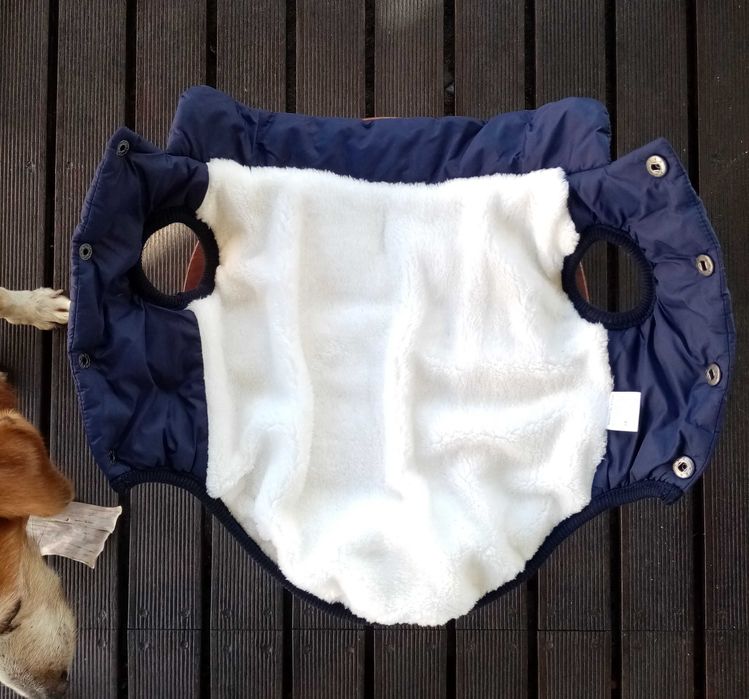 Casaco acolchoado de cão novo