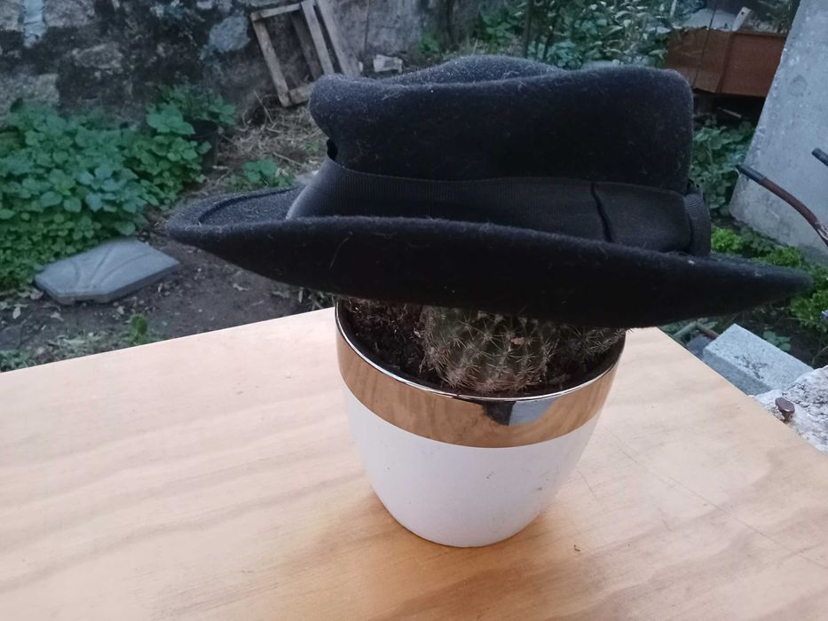 Chapéu Aba Curta Elegante, Ocasião